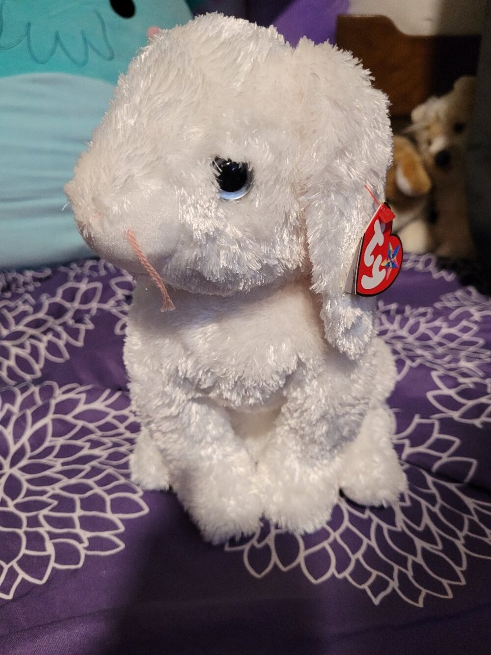 TY retired beanie babu bunny "spring"